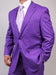 Men's Two Button Light Purple ~ Dark Lavender Suit mensusa